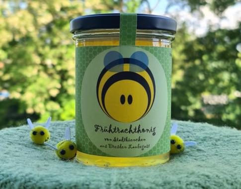 Ungerührter Frühtrachthonig aus Dresden Laubegast (kristallin)
