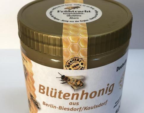 Frühtrachthonig Obstblüte/Ahorn