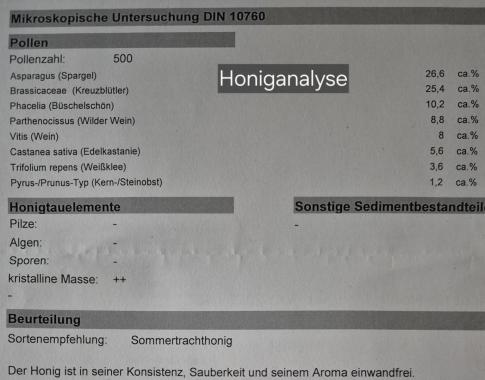 Honiganalyse Flomborn