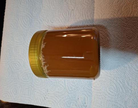 seltener Melezidosehonig / Waldhonig
