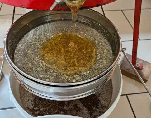 Imkerei Rogalski, Frühtracht, Honig im Doppelsieb