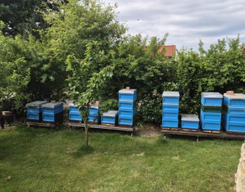 Meiner Bienenstand
