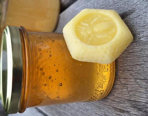 Im 500gr Glas ist ein vor einer Woche abgeschleuderter Waldhonig. Die Beuten stehen zwischen Weidewiesen und einem großen biologisch geführtem Garten in dem Landschaftsschutzgebiet St. Jost. Der Honig ist nicht erwärmt oder gerührt, sondern naturbelassen. 