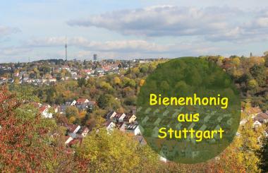 Bienenhonig aus Stuttgart - ist einzigartig