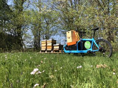 Honigfahrrad