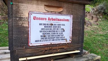 Unsere Bienenbeuten