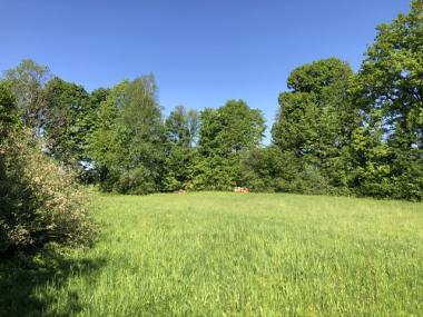 Standort Festenbach