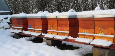 Bienenbeuten im Schnee