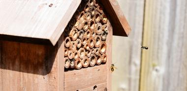 Wildbienen-Haus