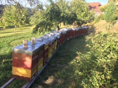 Bienenstandort im Obstgarten