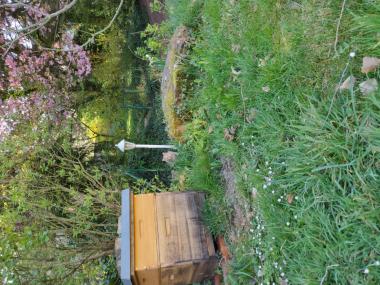 Bienenbeute