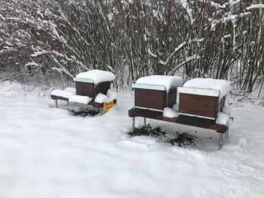 Winterimpressionen