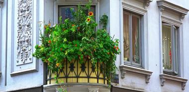 Balkon mit Pflanzen