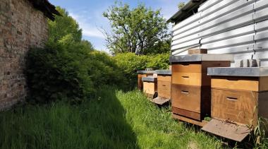 Bienenstand der Imkeri Bien in Berlin