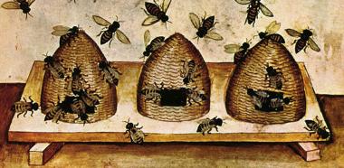 Zeichnung von drei Bienenstöcken