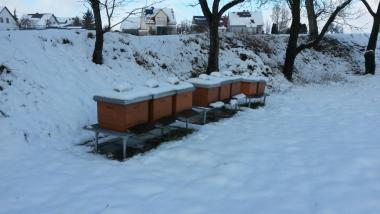 Mein Bienenstand in einem Obstgarten im Winter