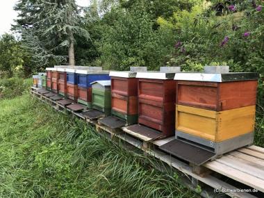 Beuten am Bienenstand in Oberstenfeld