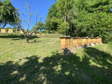 Bienenstand in Niedershausen