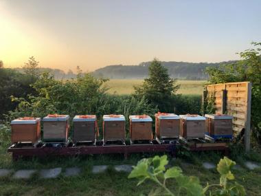 Mein Bienenstand