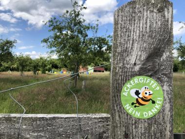 Eindrücke vom Bienenstand