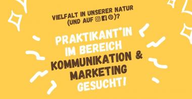 nearBees Praktikum im Bereich Kommunikation & Marketing
