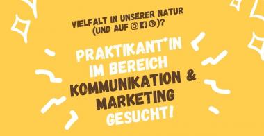 nearBees Praktikum im Bereich Kommunikation & Marketing