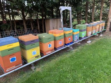 unser moderner Stand mit Portalkran für die schweren Honigräume