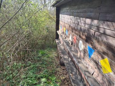 Mein Bienenhaus in der Gemarkung Niedenstein Luftkurort