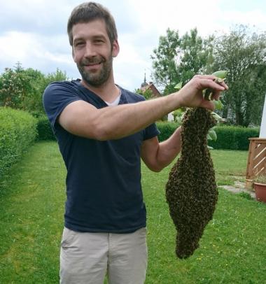 Bienenschwarm eisammeln und ein neues Volk gründen.