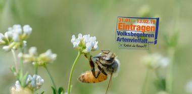 2 Jahre Volksbegehren Artenvielfalt in Bayern
