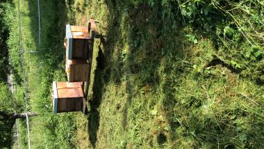 Mein erster Bienenstand