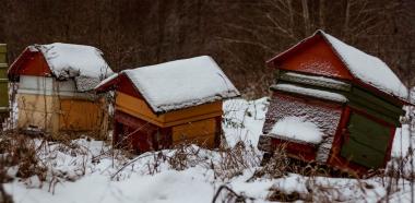 Bienenbeuten im Winter