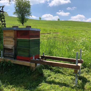 Wunderschöner Standort. Nicht nur für die Bienen 