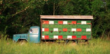 Laster mit Bienenbeuten