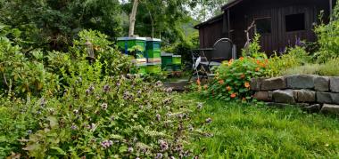 Bienenbeuten in unserem Garten
