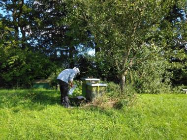 Hier ein Bild von einem meiner Hauptstsndorte auf einer Streuobstwiese in der freien Landschaft 