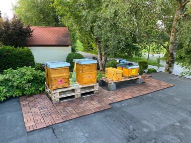 Bienenbeuten auf dem Garagendach