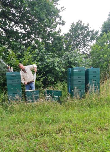 Ich, beim einlegen der Bienenfluchten, kurz vor der Honigernte.