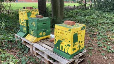 Unsere Bienen haben einen ganzen Wald mit angrenzenden Feldern für sich