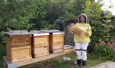 Bienenbeuten