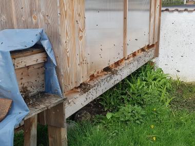 Unser Bienenstand
