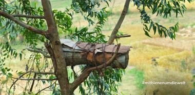 Bienenstock in Kenia