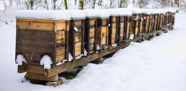 Bienenstöcke im Winter