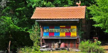 buntes-bienenhaus