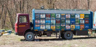 Lkw mit Bienenstöcken