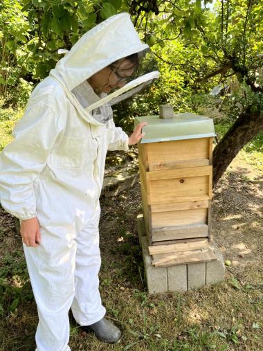 Am Bienenstand