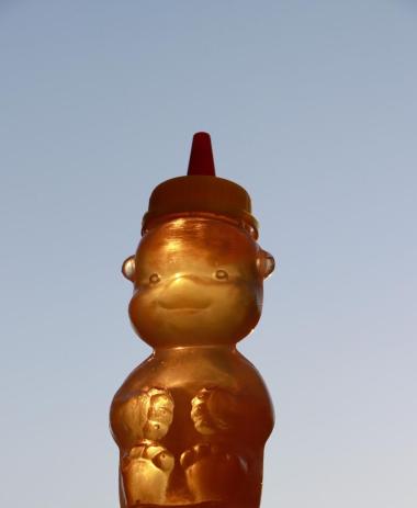 Honigbär