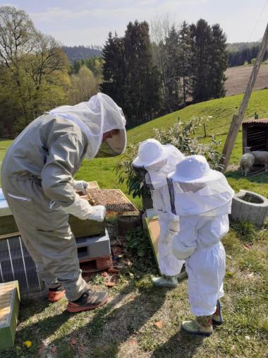 Kinder bei der Bienenkunde.