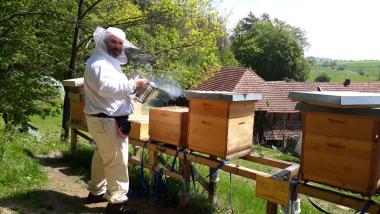 Simson am Bienenstand in Baueshof