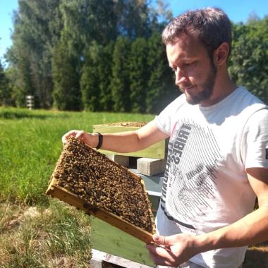 Bienenwabe